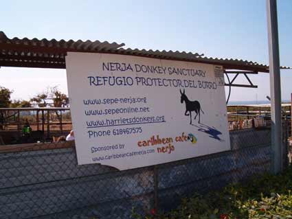 Sepe-Nerja Donkey Sanctuary