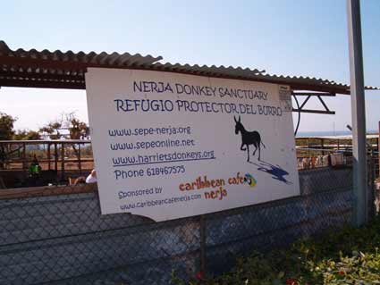 Sepe-Nerja Donkey Sanctuary Sepe-Nerja Donkey Sanctuary